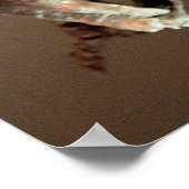 ヒューストン自然科学博物館 ポスター (角)