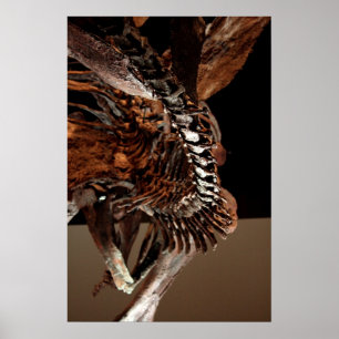 ヒューストン自然科学博物館 ポスター