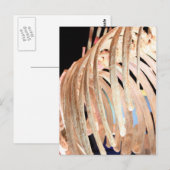 ヒューストン自然科学博物館 ポストカード (正面/裏面)