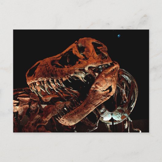 ヒューストン自然科学博物館 ポストカード (正面)