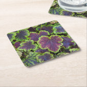 ヒューチェレラ葉コースター スクエアペーパーコースター (アングル)