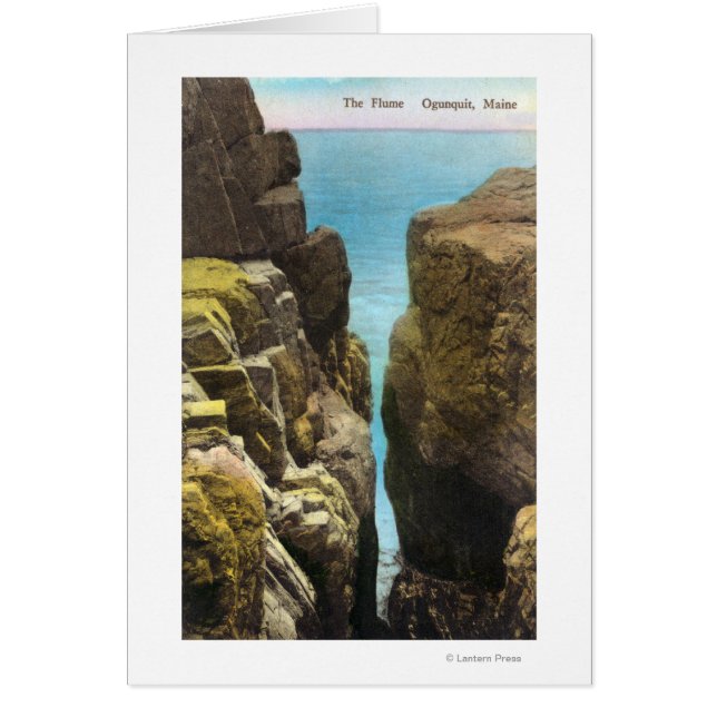 ヒュームの表示 (正面)