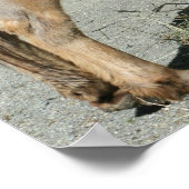 ヒュー ポスター (角)