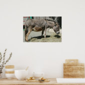 ヒュー ポスター (キッチン)