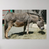 ヒュー ポスター (正面)