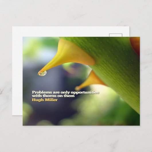 ヒュー・ミラ感動的ー引用文「機会」 ポストカード (正面/裏面)