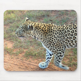 ヒョウが歩く マウスパッド