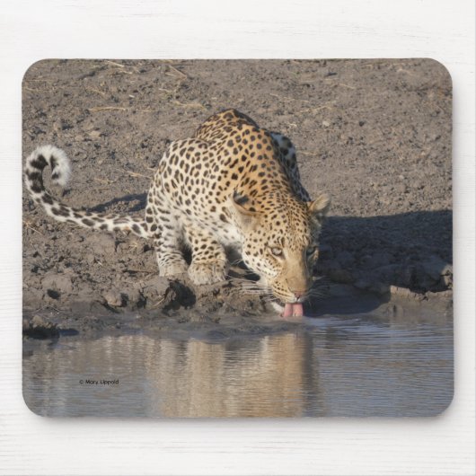 ヒョウが水を飲む マウスパッド (正面)