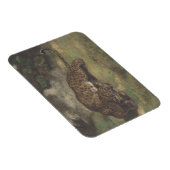 ヒョウとヘビ マグネット (右側)