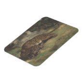 ヒョウとヘビ マグネット (左側)