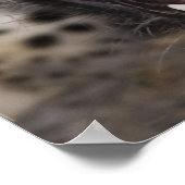 ヒョウのうねりのクローズアップ ポスター (角)