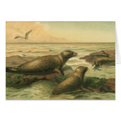 ヒョウのアザラシ、ヴィンテージ水中競技動物海洋生物 (正面横)