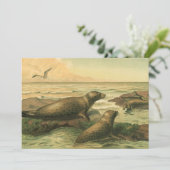 ヒョウのアザラシ、ヴィンテージ水中競技動物海洋生物 (スタンド正面)