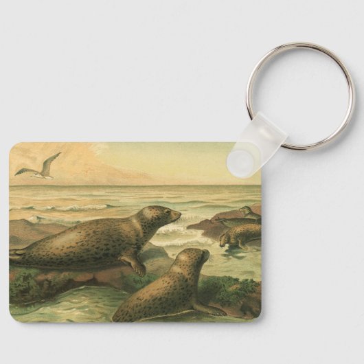 ヒョウのアザラシ、ヴィンテージ水中競技動物海洋生物 キーホルダー (正面)