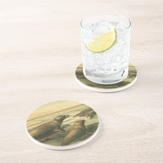 ヒョウのアザラシ、ヴィンテージ水中競技動物海洋生物 コースター (側面)