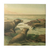 ヒョウのアザラシ、ヴィンテージ水中競技動物海洋生物 タイル (正面)