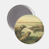 ヒョウのアザラシ、ヴィンテージ水中競技動物海洋生物 マグネット (正面/裏面)