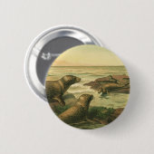 ヒョウのアザラシ、ヴィンテージ水中競技動物海洋生物 缶バッジ (正面&裏面)