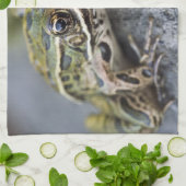 ヒョウのオオガエル、シースルー島。 キッチンタオル (折り畳み)