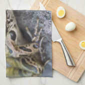 ヒョウのオオガエル、シースルー島。 キッチンタオル (四つ折り)