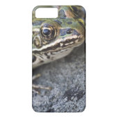 ヒョウのオオガエル、シースルー島。 Case-Mate iPhoneケース (裏面)