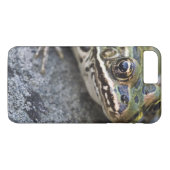 ヒョウのオオガエル、シースルー島。 Case-Mate iPhoneケース (裏面(横))