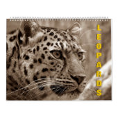 ヒョウのカレンダー カレンダー (カバー)
