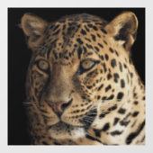 ヒョウのガラス窓にしがみつく ウィンドウサイン (シート)