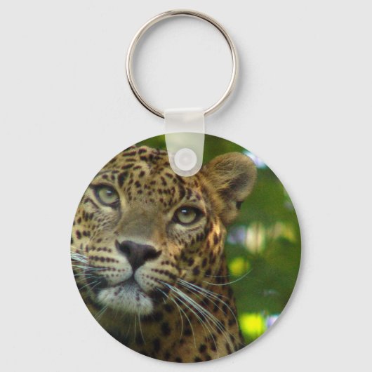 ヒョウのキーチェーン キーホルダー (正面)