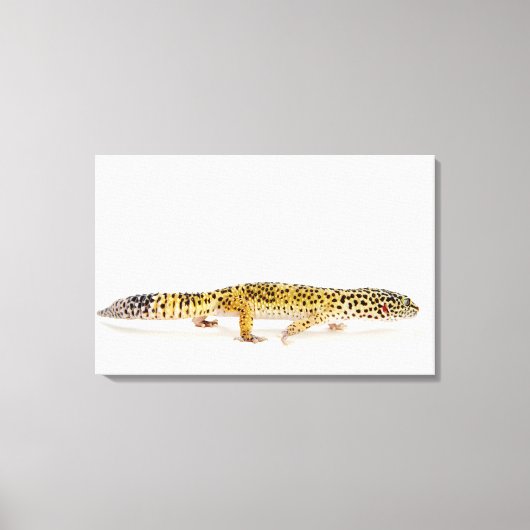 ヒョウのサイドビューgecko lizard キャンバスプリント (正面)