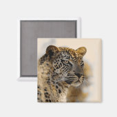 ヒョウのサファリ磁石 マグネット (正面/裏面)