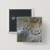 ヒョウのバッジ 缶バッジ (正面&裏面)