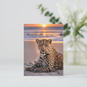 ヒョウのビーチ シーズンポストカード (スタンド正面)