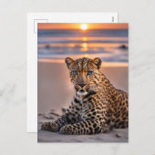 ヒョウのビーチ シーズンポストカード (正面/裏面)