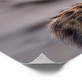 ヒョウのビーチ ポスター (角)