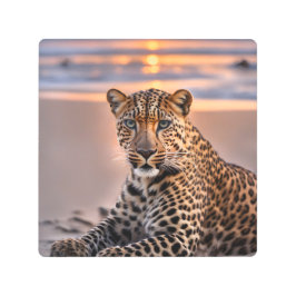 ヒョウのビーチ メタルプリント