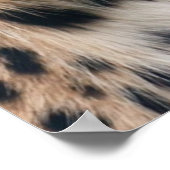 ヒョウのヘッドショット ポスター (角)