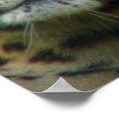 ヒョウのポスタープリント ポスター (角)