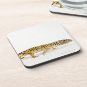 ヒョウのヤモリのトカゲの側面図 コースター (左側)