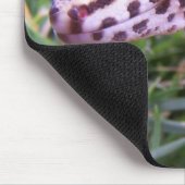 ヒョウのヤモリ マウスパッド (コーナー)