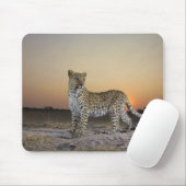 ヒョウの全長表示（パンテラ・パルダス） マウスパッド (マウス)