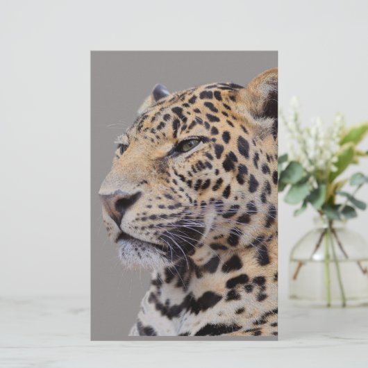 ヒョウの単離ポートレート 便箋 (スタンド正面)