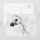 ヒョウの厚紙と白い羽毛はがき ポストカード (正面/裏面)