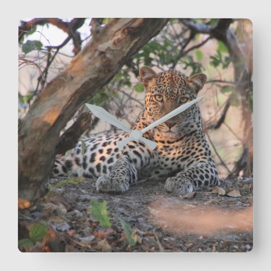 ヒョウの壁時計 スクエア壁時計 (正面)