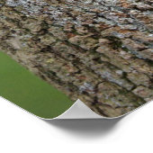 ヒョウの尾のプリント ポスター (角)