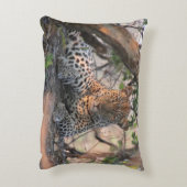 ヒョウの枕 アクセントクッション (裏面(縦))