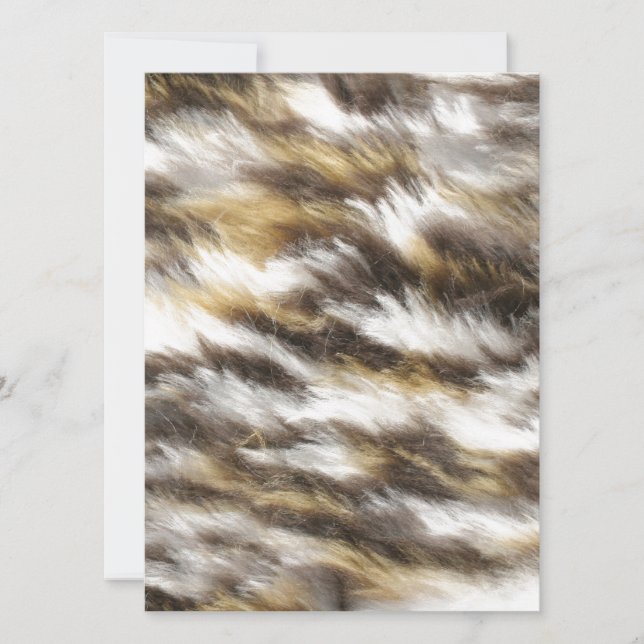 ヒョウの毛皮 (正面)