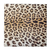 ヒョウの毛 タイル (正面)