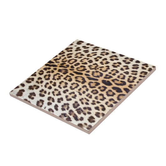 ヒョウの毛 タイル (側面)