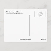 ヒョウの混濁 ポストカード (裏面)